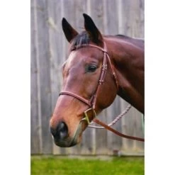 ADV RAISED FANCY STITCHED BRIDLE