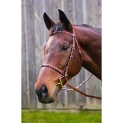 ADVANTAGE PLAIN RAISED BRIDLE WITH LACED REINS
