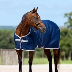 AMIGO JERSEY PONY COOLER