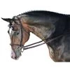ANNICE HUNTER BRIDLE -Best Equestrian Supplies annice hunter bridle