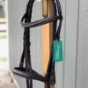 AVIGNON OCALA BRIDLE