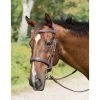 AVIGNON WELLINGTON BRIDLE -Best Equestrian Supplies avignon wellington bridle