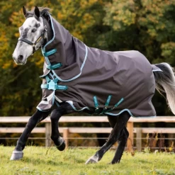 Amigo Bravo 12 Plus W/ Front Disc Closure (250g Medium) 11 Amigo Bravo 12 Plus W/ Front Disc Closure (250g Medium) -Best Equestrian Supplies bravo 12 plus w front disc closure 250g medium 2