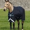Amigo BRAVO 12 PONY TURNOUT LITE (DISC FRONT) -Best Equestrian Supplies bravo 12 pony turnout lite disc front