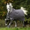 Amigo BRAVO 12 TURNOUT( LITE 0G) -Best Equestrian Supplies bravo 12 turnout lite 0g