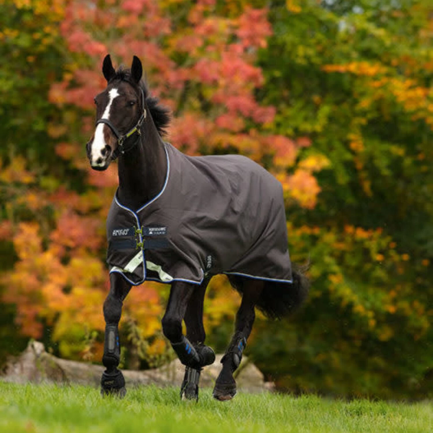 Amigo BRAVO 12 TURNOUT LITE 100G 4 Amigo BRAVO 12 TURNOUT LITE 100G - Image 2