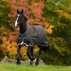 Amigo BRAVO 12 TURNOUT LITE 100G 15 Amigo BRAVO 12 TURNOUT LITE 100G -Best Equestrian Supplies bravo 12 turnout lite 100g 5