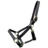 BROMONT LEATHER HALTER -Best Equestrian Supplies bromont leather halter