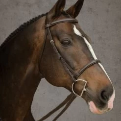 BROMONT RAISED & PADDED BRIDLE