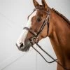 CAVESSON NOSEBAND BRIDLE 1 CAVESSON NOSEBAND BRIDLE -Best Equestrian Supplies cavesson noseband bridle