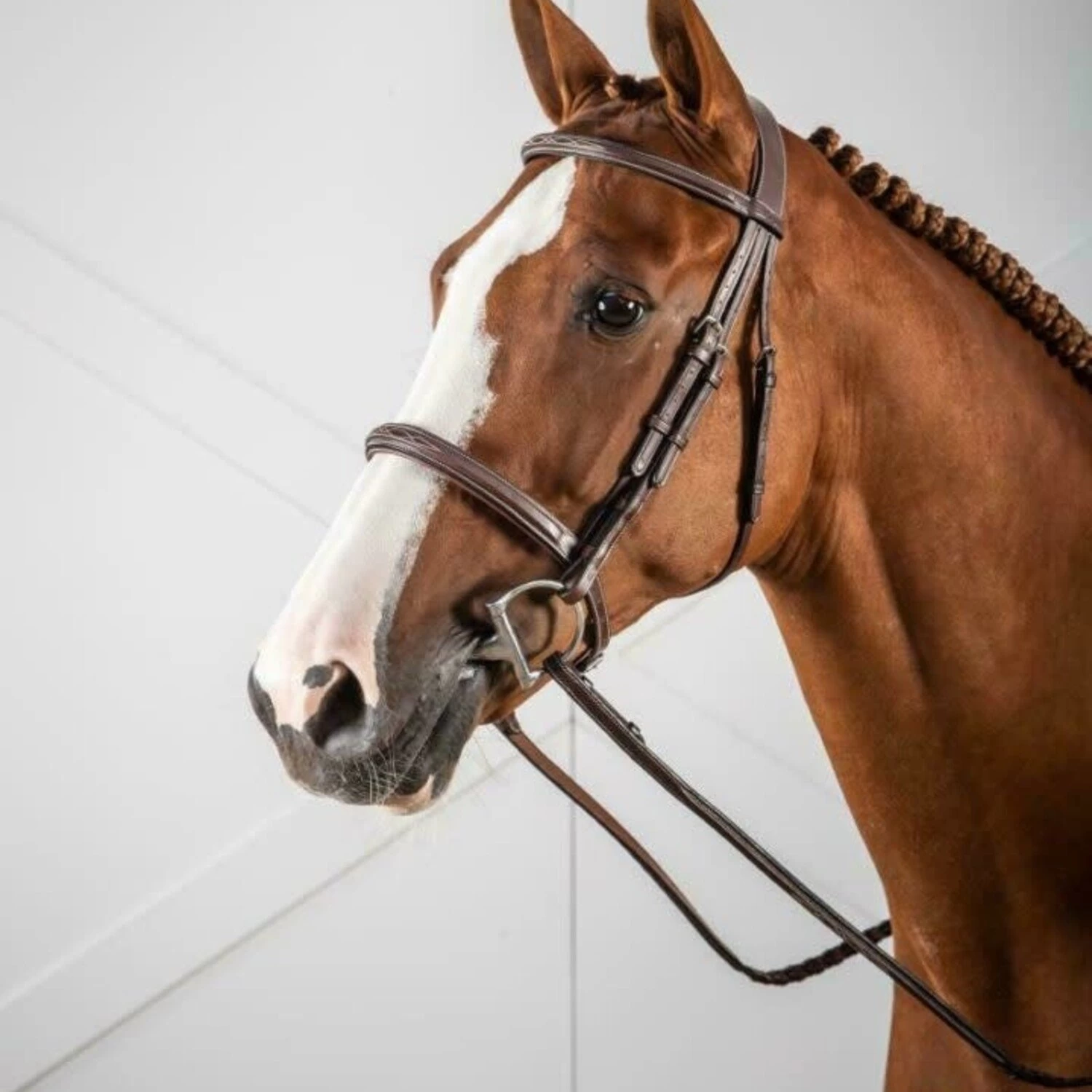 CAVESSON NOSEBAND BRIDLE 5 CAVESSON NOSEBAND BRIDLE - Image 3