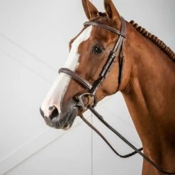 CAVESSON NOSEBAND BRIDLE