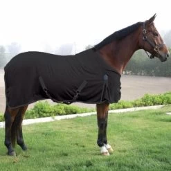 Professional's Choice COTTON DAY SHEET