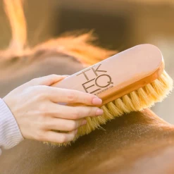 DANDY BRUSH 7 DANDY BRUSH -Best Equestrian Supplies dandy brush 2