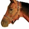 DELUXE 1" TRIPLE STITCHED LEATHER HALTER -Best Equestrian Supplies deluxe 1 triple stitched leather halter