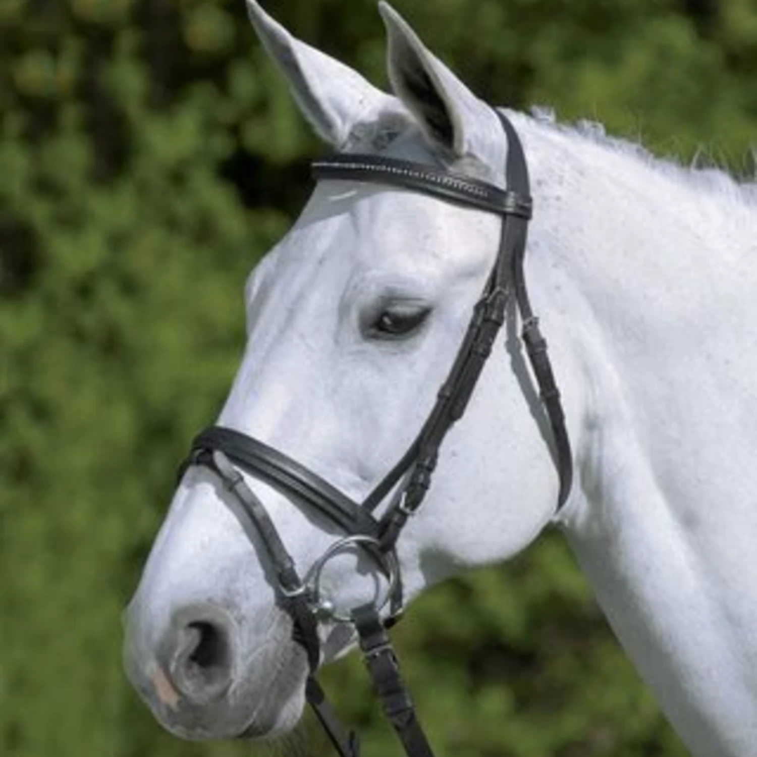 Waldhausen "DIAMOND" BRIDLE 5 Waldhausen "DIAMOND" BRIDLE - Image 3