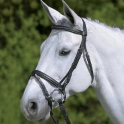 Waldhausen "DIAMOND" BRIDLE