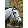 DRESSAGE BRIDLE WITH BLACK PADDING