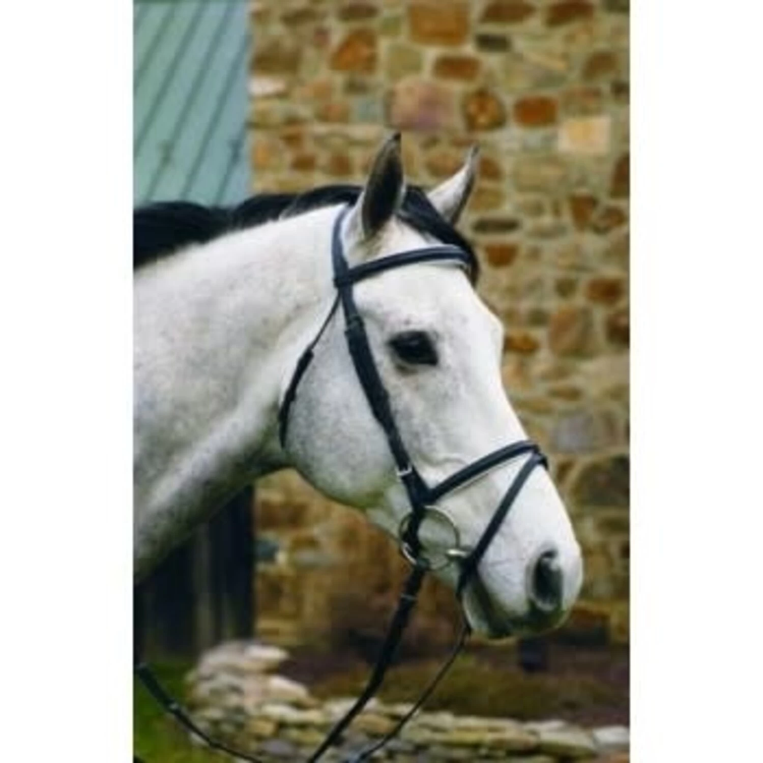 DRESSAGE BRIDLE WITH BLACK PADDING 3 DRESSAGE BRIDLE WITH BLACK PADDING