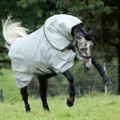 DUO BUNDLE (NEW) -Best Equestrian Supplies duo bundle new 2