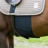 ELASTIC BELLY GUARD -Best Equestrian Supplies elastic belly guard
