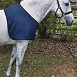 EQUISTAR SHOULDER GUARD