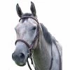 FANCY RAISED BRIDLE 2 FANCY RAISED BRIDLE -Best Equestrian Supplies fancy raised bridle