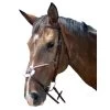 FANCY STITCHED FIGURE 8 BRIDLE 2 FANCY STITCHED FIGURE 8 BRIDLE -Best Equestrian Supplies fancy stitched figure 8 bridle