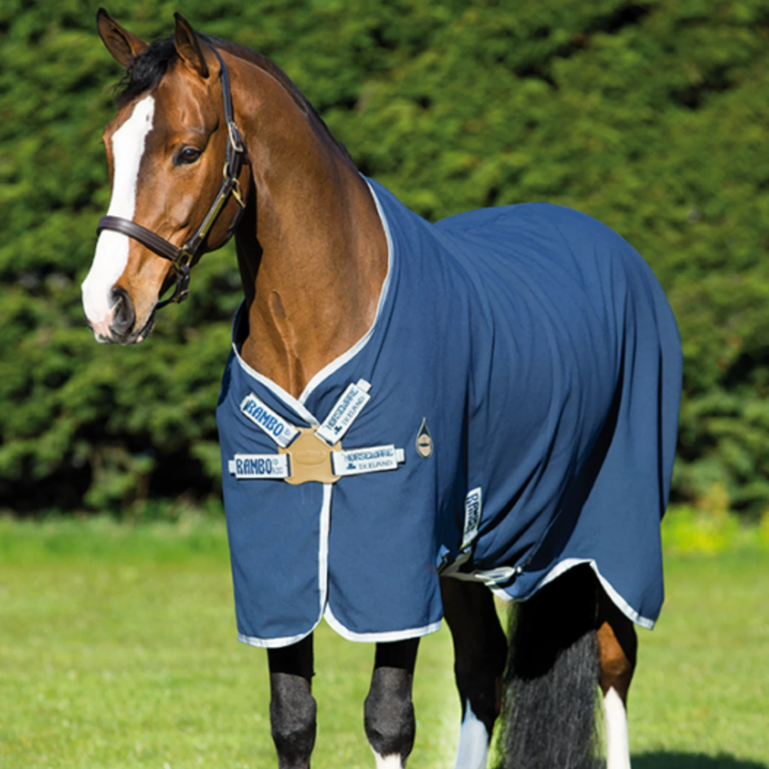 HELIX STABLE SHEET (DISC FRONT) 3 HELIX STABLE SHEET (DISC FRONT)