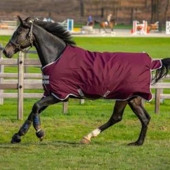 Amigo HERO RIPSTOP 50G -Best Equestrian Supplies hero ripstop 50g 2