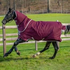 Amigo HERO RIPSTOP PLUS 200G