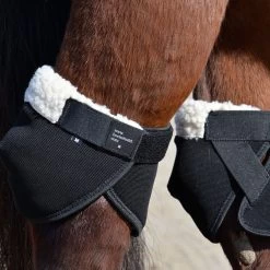 HOCK SHIELD ULTRA -Best Equestrian Supplies hock shield ultra 1