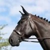 HUNTER NOSEBAND BRIDLE -Best Equestrian Supplies hunter noseband bridle