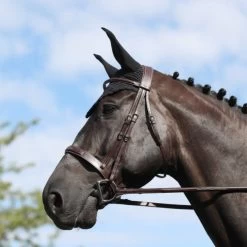 HUNTER NOSEBAND BRIDLE