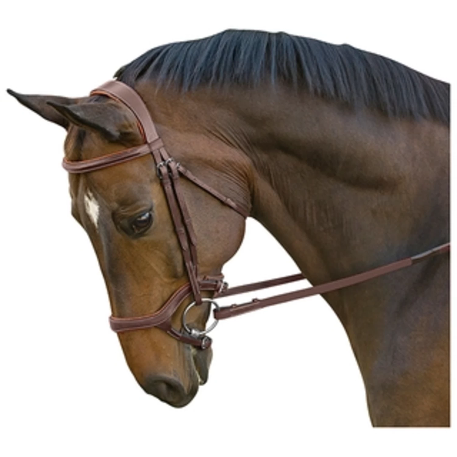 HYBRID JUMPER BRIDLE 3 HYBRID JUMPER BRIDLE