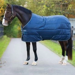 Amigo INSULATOR - LITE 100G