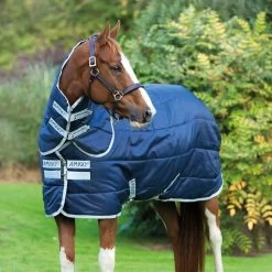 Amigo INSULATOR PLUS 200G STABLE RUG