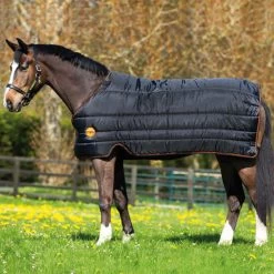 IONIC STABLE LINER 100G