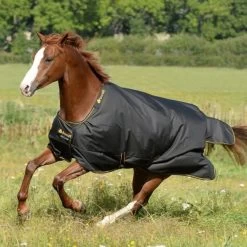 IRISH LIGHT 50FILL -Best Equestrian Supplies irish light 50fill 1