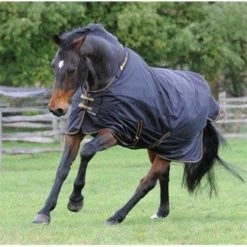 IRISH RAINSHEET 0G 5 IRISH RAINSHEET 0G -Best Equestrian Supplies irish rainsheet 0g 1