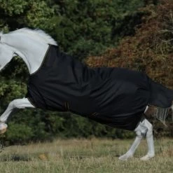 IRISH TURNOUT EXTRA 300 FILL - HIGH NECK