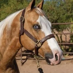Professional's Choice LEATHER HALTER