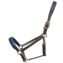 LEATHER HALTER - COLOURED PADDING -Best Equestrian Supplies leather halter coloured padding 1