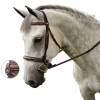 LIZA HUNTER DERBY BRIDLE -Best Equestrian Supplies liza hunter derby bridle