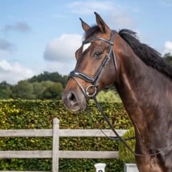 MATTE MEDIUM CRANK NOSEBAND WITH FLASH