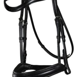 MATTE MEDIUM NOSEBAND BRIDLE WITH FLASH