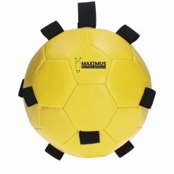MAXIMUS FUN PLAY BALL