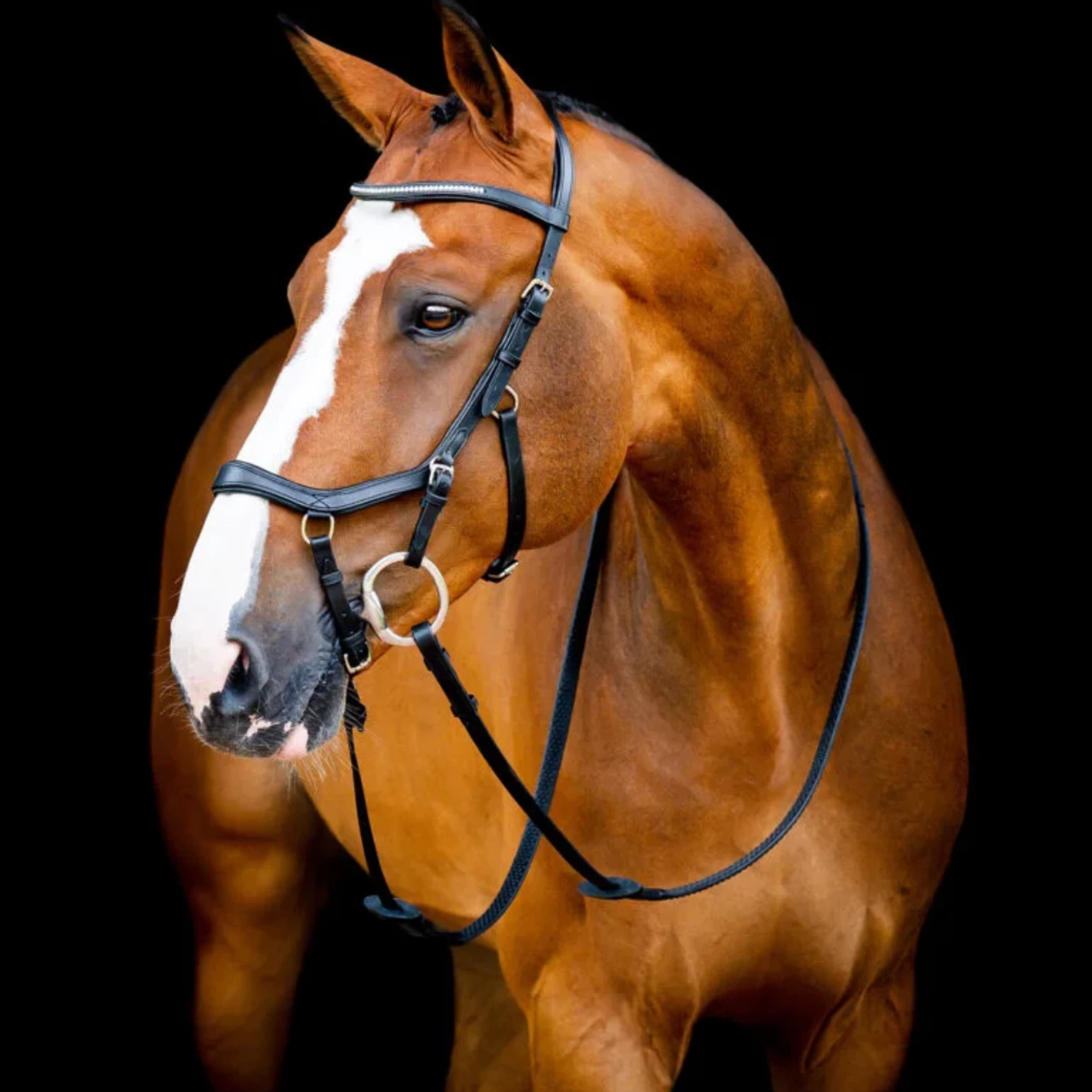 Horseware Ireland Micklem 2 Diamante Competition Bridle 4 Horseware Ireland Micklem 2 Diamante Competition Bridle - Image 2