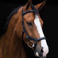 MICKLEM COMPETITION DELUXE BRIDLE WITH REINS 5 MICKLEM COMPETITION DELUXE BRIDLE WITH REINS -Best Equestrian Supplies micklem competition deluxe bridle with reins 1