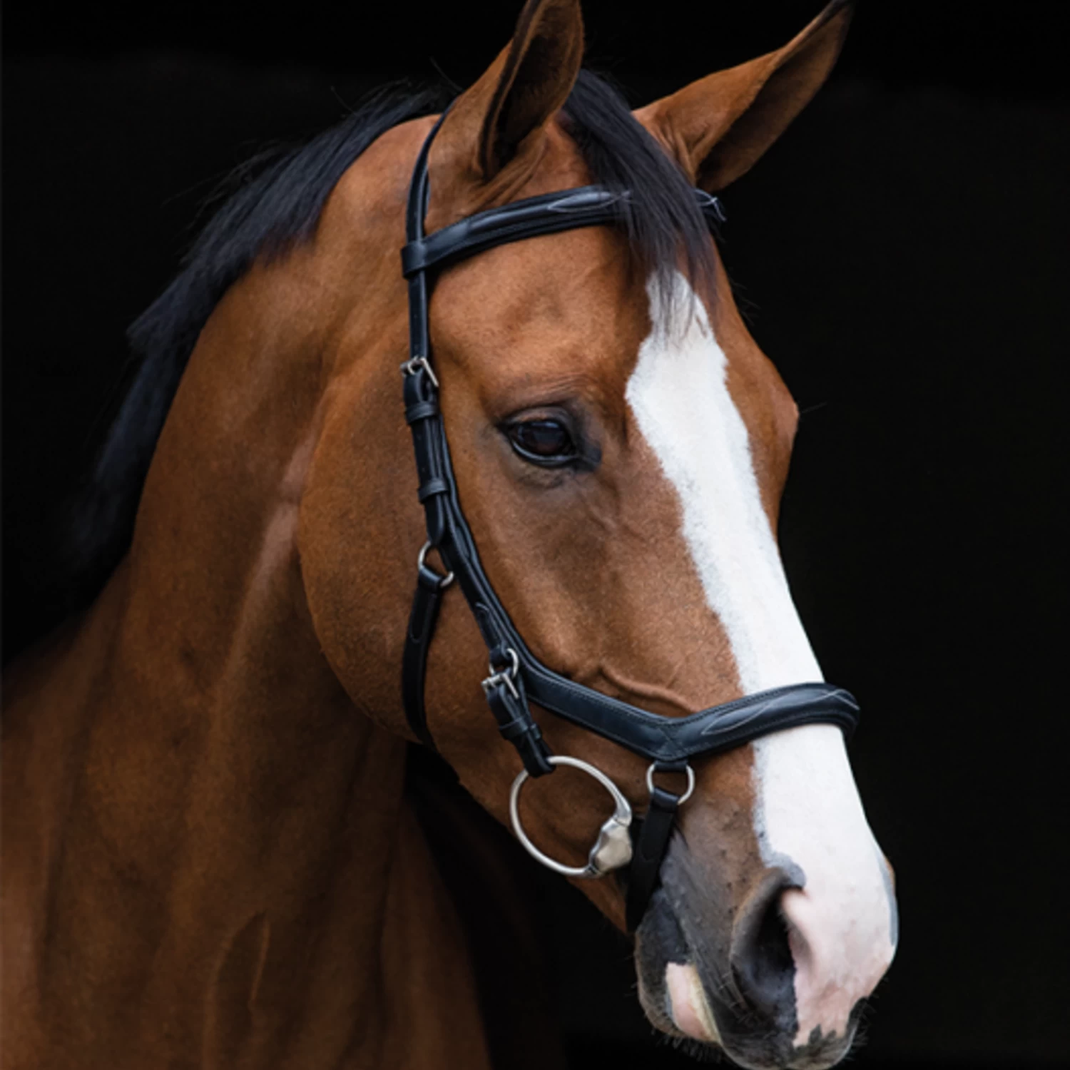MICKLEM COMPETITION DELUXE BRIDLE WITH REINS 4 MICKLEM COMPETITION DELUXE BRIDLE WITH REINS - Image 2